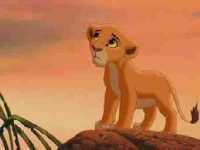 מלך האריות