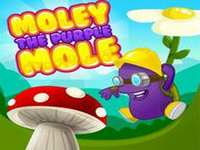 PURPLE MOLE